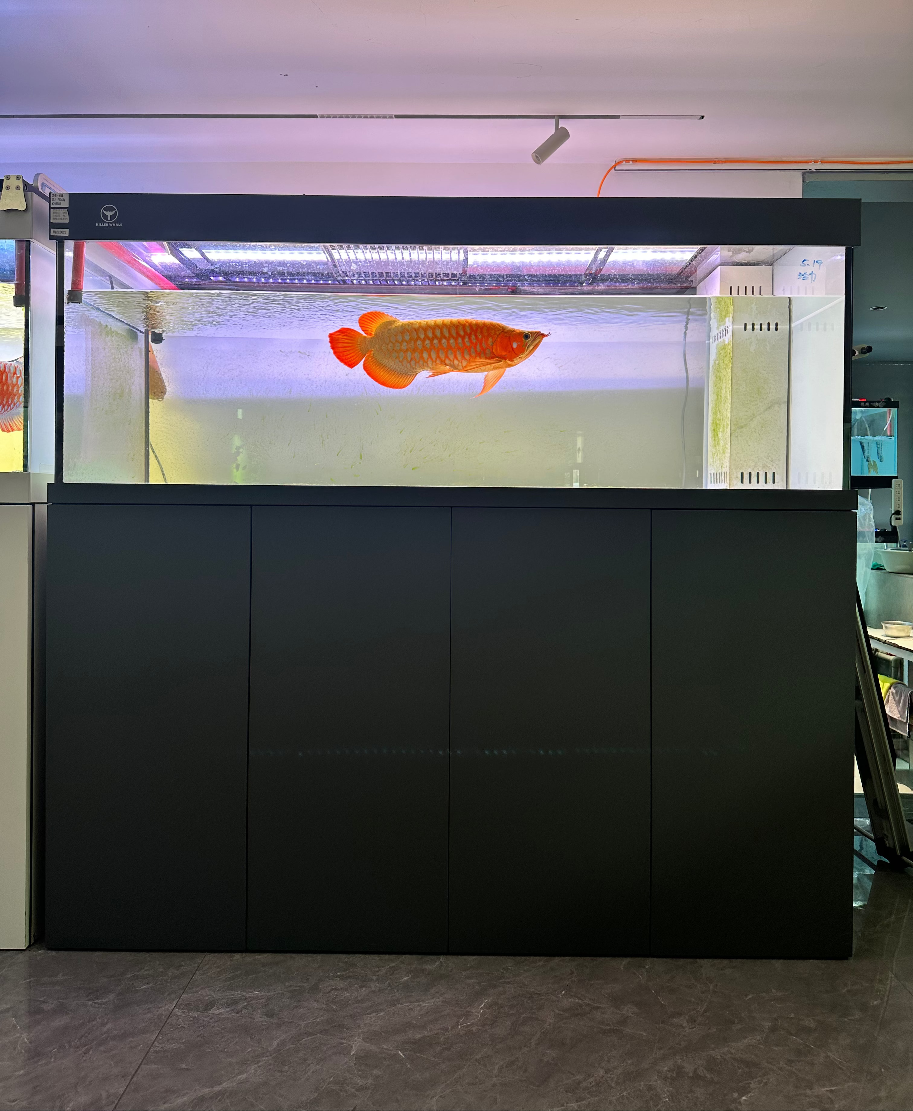 KW LF Series Aquarium
