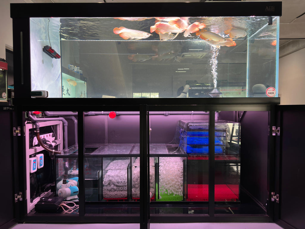 AiCai M Series Aquarium
