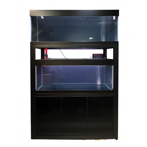Geoda Custom Series Double Deck Aquarium