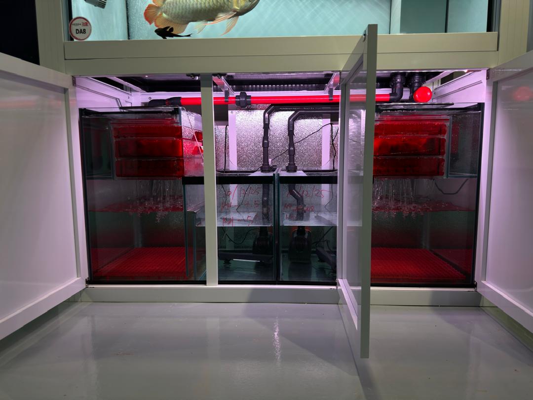 Geoda Custom Series Double Deck Aquarium