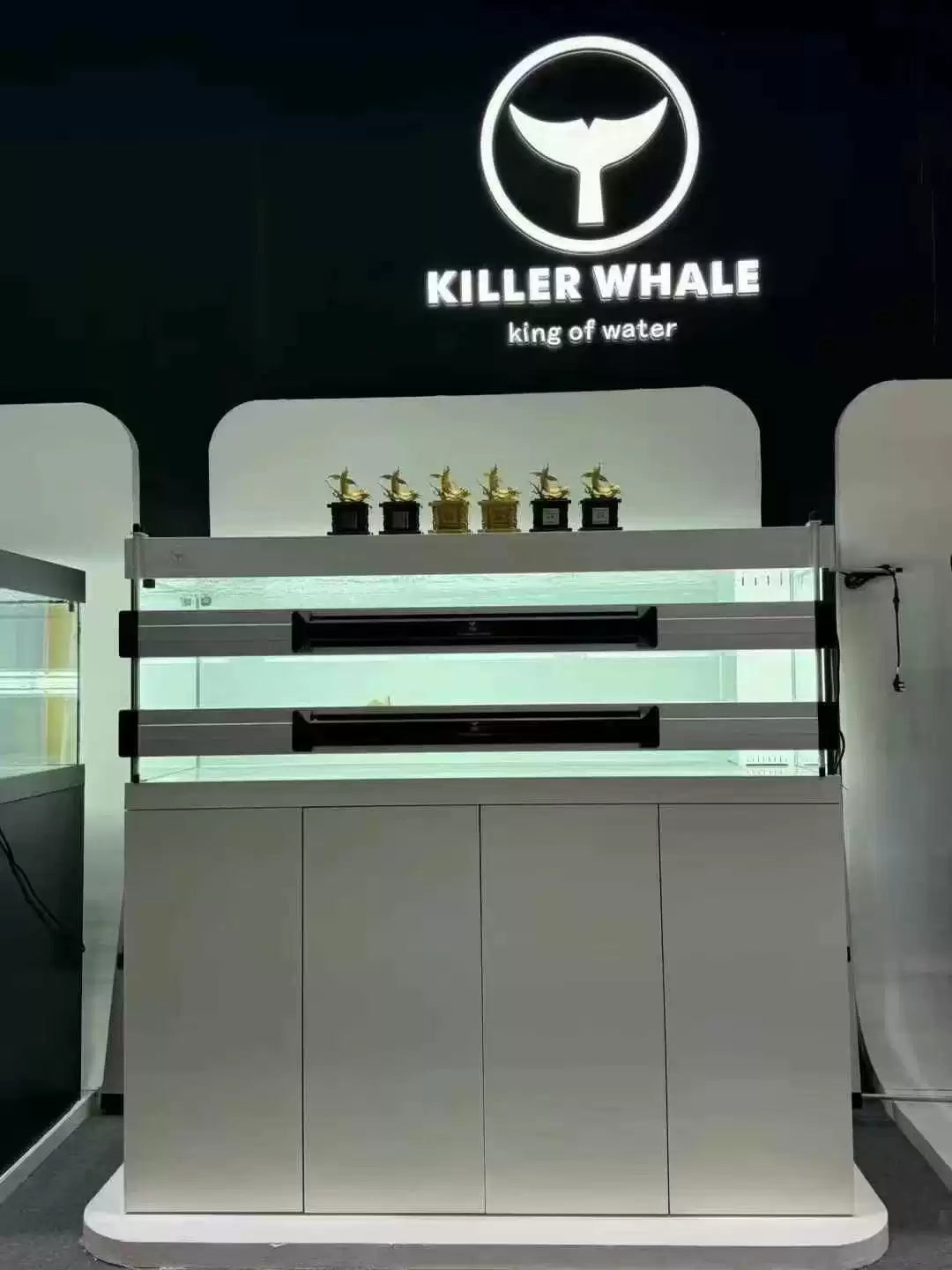 KILLER WHALE SKY LIGHT (Arowana Color-Enhancement Lighting)